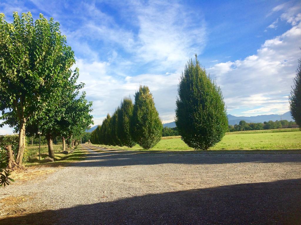 Agriturismo Ca Del Lupo Pallazzolo sullʼOglio Dış mekan fotoğraf