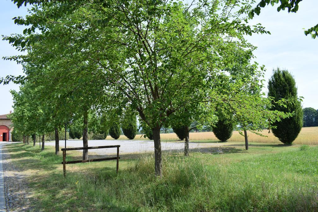 Agriturismo Ca Del Lupo Pallazzolo sullʼOglio Dış mekan fotoğraf